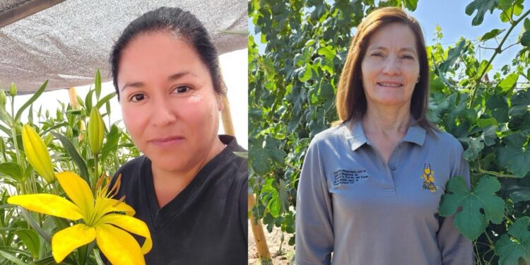Investigadora de “Vino del Desierto” y productora de lechugas hidropónicas en Colonia Pintados fueron reconocidas como Mujeres Agroinnovadoras