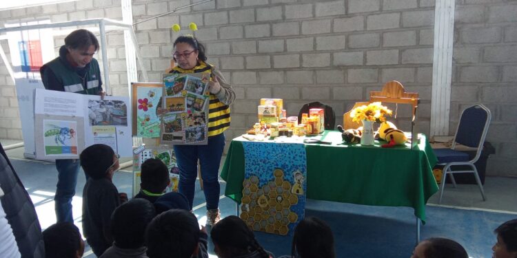 Seremi y Servicios del Agro entregan conocimientos sobre agricultura de forma didáctica a niñas y niños de Colchane