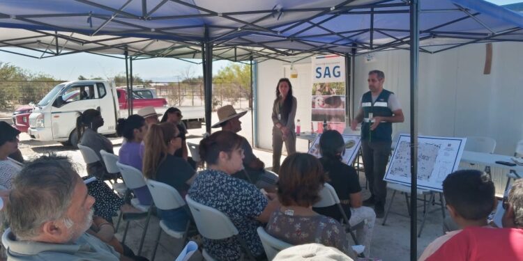 SAG Tarapacá culmina campaña de erradicación de la mosca de fruta en La Huayca