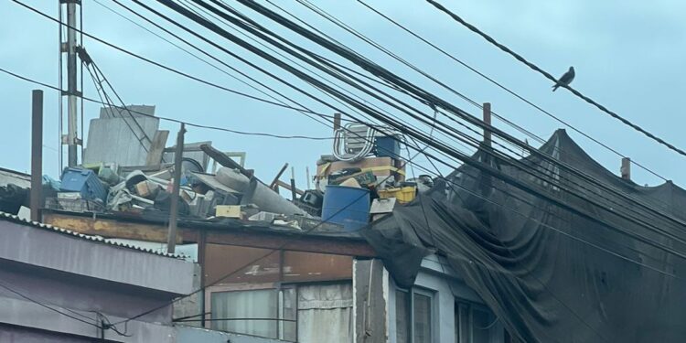 Peligrosos cachureos en los techos