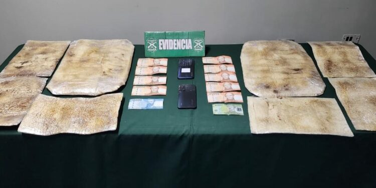 Pasajeros bolivianos portaban más de 6 kilos 315 gramos de droga en sus equipajes