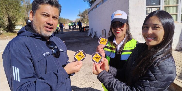 Conductores de buses se capacitan para ir más lento por áreas protegidas en Tarapacá
