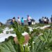 Agricultores de INDAP en Tarapacá se abren paso en la asociatividad