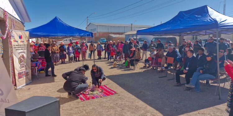 Inauguraron la primera charquería de camélidos donde comienza Chile
