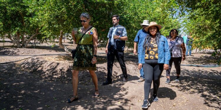 INDAP lanza consulta ciudadana para conocer y escuchar a las juventudes rurales