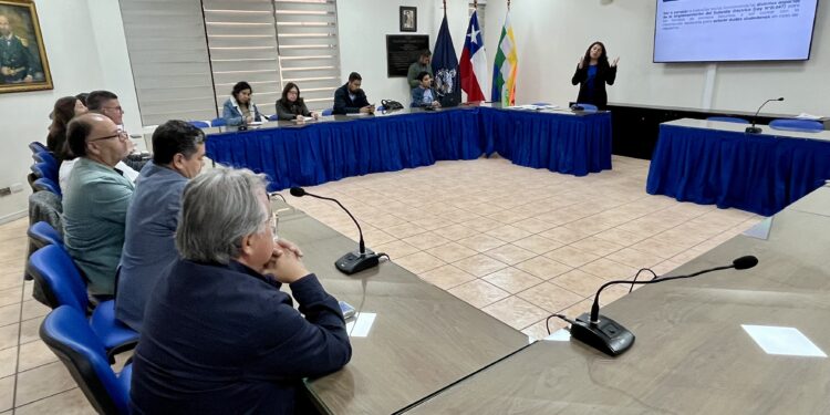 Promocionan Subsidio Eléctrico para Familias Vulnerables de Tarapacá