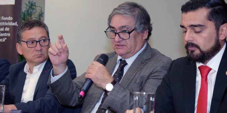 El crimen organizado y el comercio informal, una estrecha relación que requiere aún más control en Tarapacá