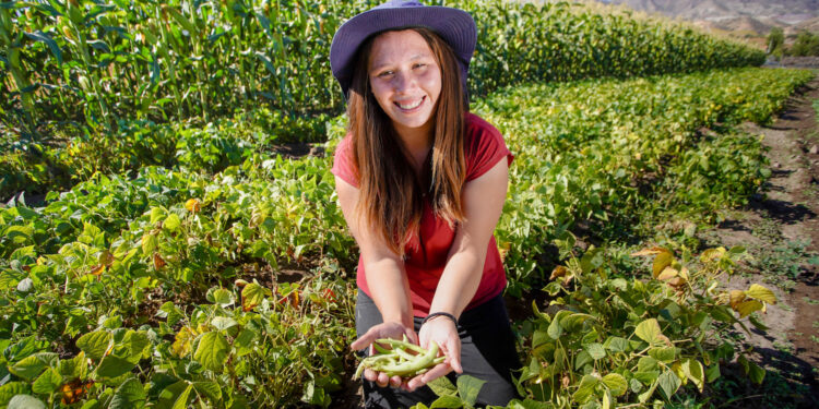 Nuevas generaciones campesinas:  INDAP lanza inédita consulta ciudadana para conocer y escuchar a las juventudes rurales de todo el país