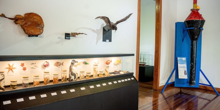 Cerca de 7 mil personas visitaron muestra oceanográfica en Sala de Arte Casa Collahuasi durante el “Mes del Mar”