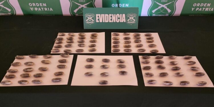 Carabineros sorprendió a pasajero que transportaba 90 ovoides