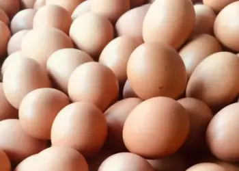 La producción de huevos de consumo presentó un incremento interanual de 10,0% en abril de 2024