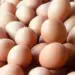 La producción de huevos de consumo presentó un incremento interanual de 10,0% en abril de 2024
