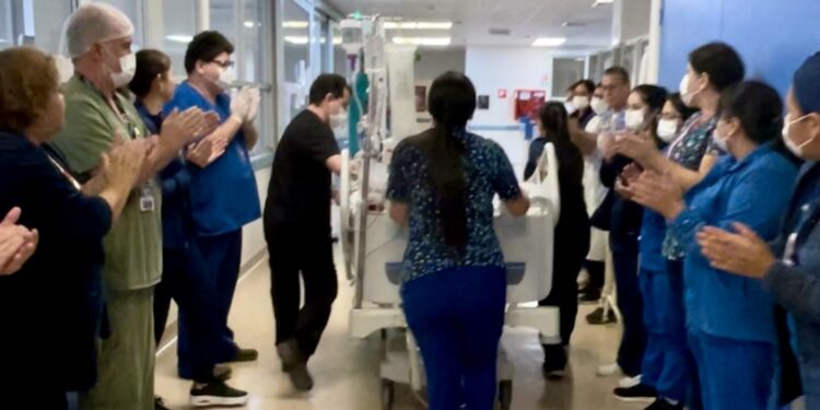 Hospital de Iquique realiza segundo procuramiento de órganos del año