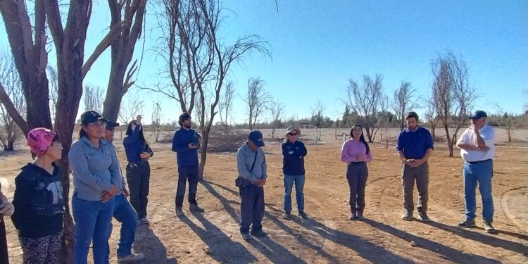 Convenio UNAP – CONAF completa 2,5 hectáreas reforestadas en campus Canchones de La Huayca