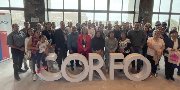 CORFO lanzó 3 convocatorias del programa viraliza para fortalecer los ecosistemas de emprendimiento en todo Chile