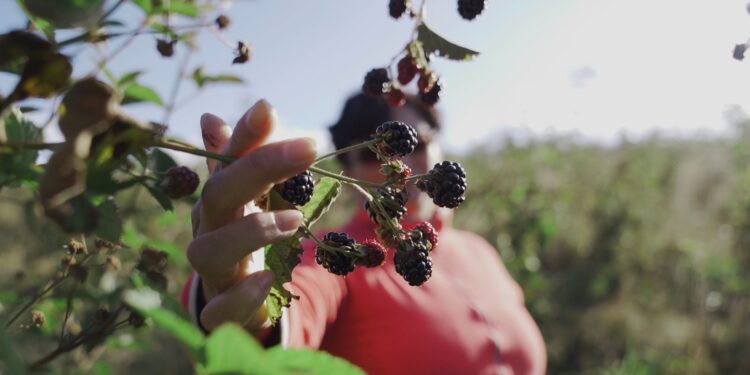 Crecimiento del cooperativismo: Más  de 6 mil 500 socios en la región