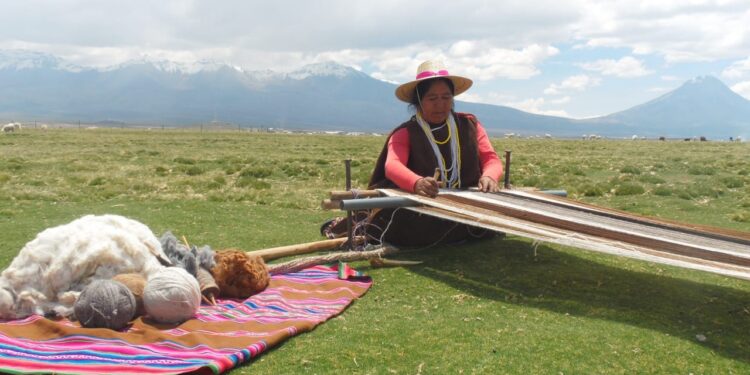 Artesana de Enquelga Adriana Mamani ganó Premio Iberoamericano de Textiles y Cestería 2024