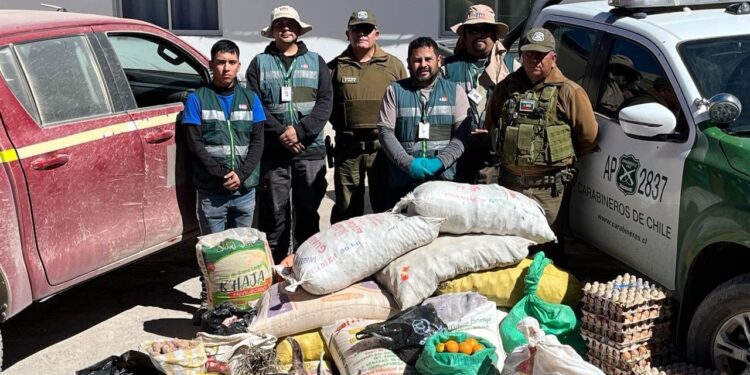 Más de media tonelada de alimentos de contrabando decomisados en servicio de Carabineros y el SAG