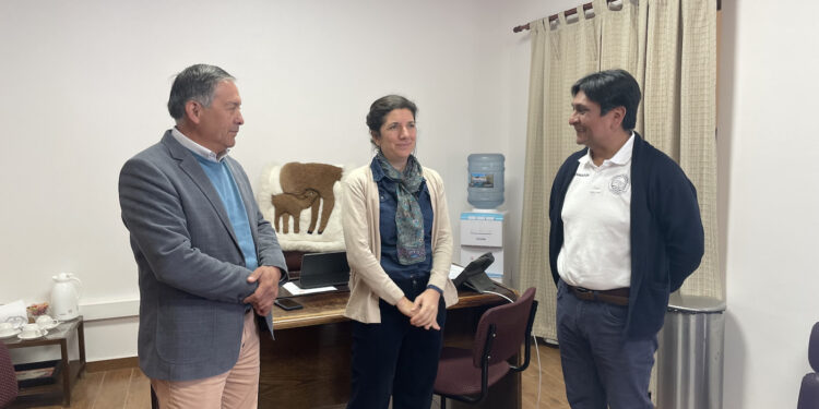 Avanza el Instituto Nacional de Litio y Salares: Ministerio de Ciencia inscribe estatutos en Municipio de San Pedro de Atacama