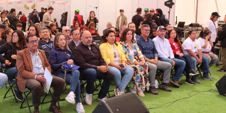 Masiva asistencia de público en Segunda Feria Inclusiva de Tarapacá