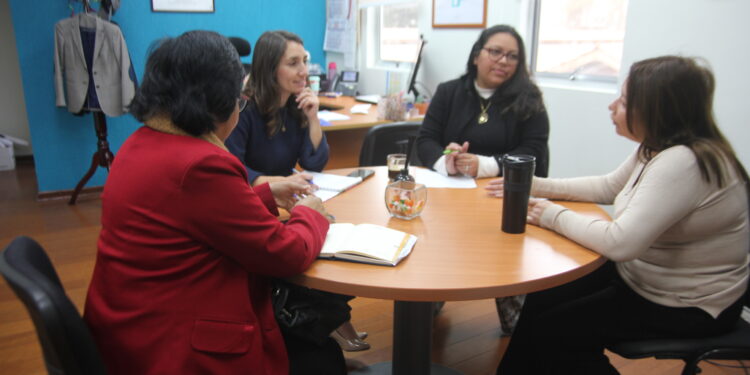 Consejeras solicitaron al MOP mayor coordinación y reducción de tiempo en obras de Ruta 11 CH