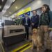 Aeropuerto y SAG reportan 14 mil viajes con mascotas en el último año y refuerzan información de requisitos