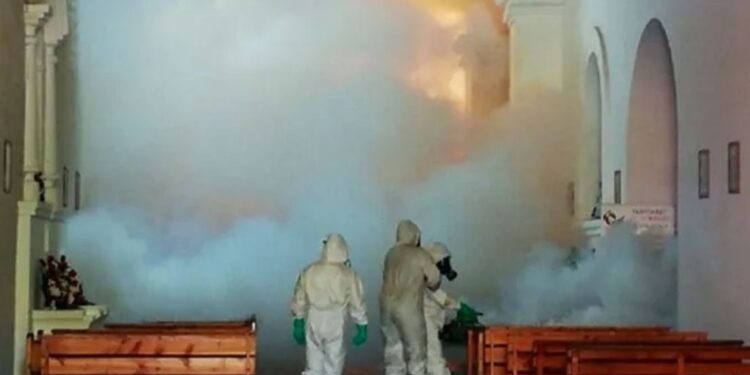 SEREMI de Salud comenzará trabajo de fumigación en 150 viviendas por fiesta de San Lorenzo