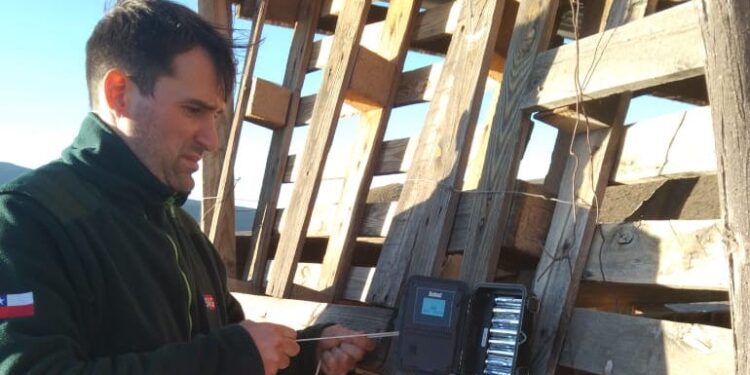 SAG instala preventivamente cámaras trampa para verificar presencia de carnívoros en localidad de Templanza