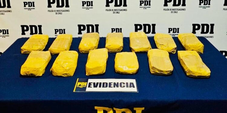 PDI Arica incautó más de 200 mil dosis de cocaína base en domicilio del Valle de Azapa
