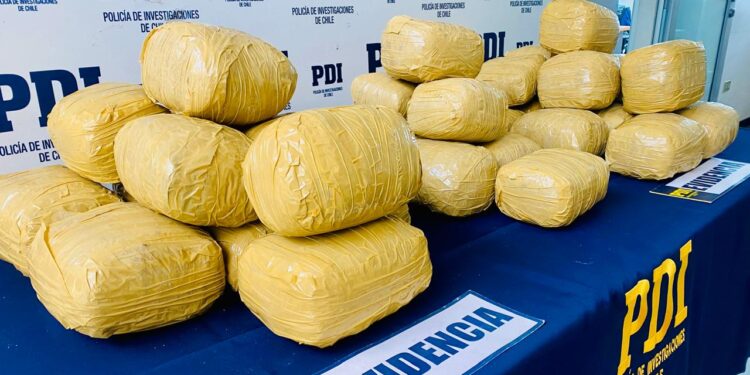 PDI desarticuló estructura criminal dedicada al tráfico de drogas: se incautaron 28 kilos de cannabis sativa y se detuvo a tres imputados