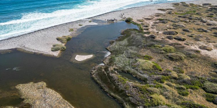 Desembocadura del Río Loa declarada Santuario de la Naturaleza