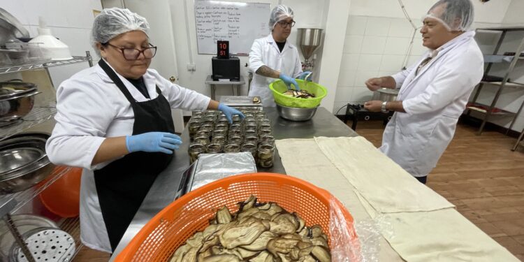 Transforman productos regionales en alimentos gourmet para mercados internacionales