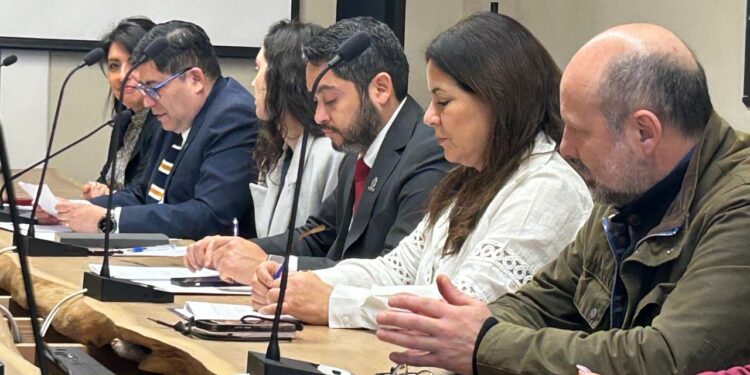 Ingresan solicitud para que Geoglifos de Pintados sean declarados Patrimonio Mundial