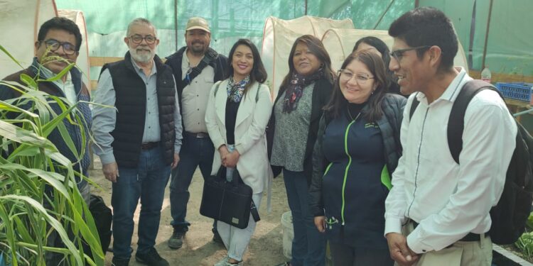 LabAncestral prepara Huertos Escolares en El Tamarugal para unir el pasado y la ciencia