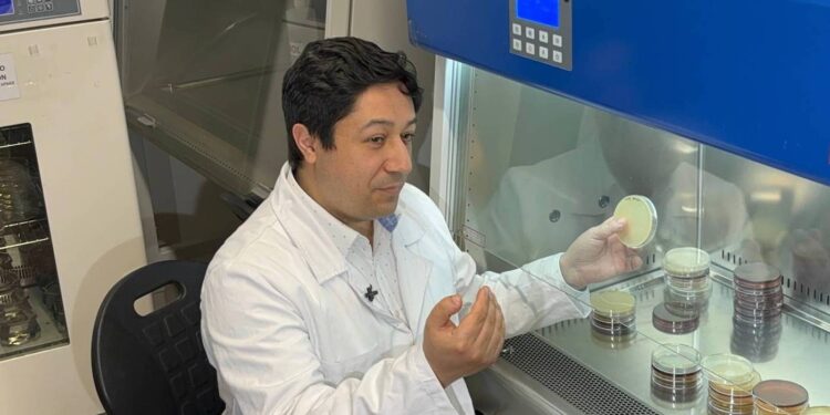 Los microorganismos que se pueden encontrar en artículos de uso común
