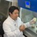 Los microorganismos que se pueden encontrar en artículos de uso común