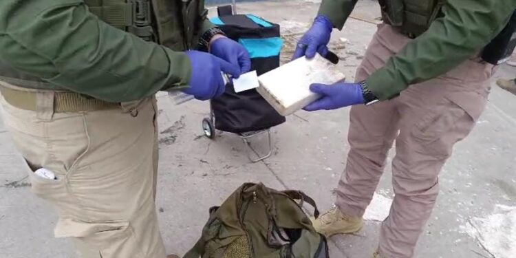 Carabineros desbarata banda que trasladaba droga (165 mil dosis) desde Tarapacá a la Región Metropolitana
