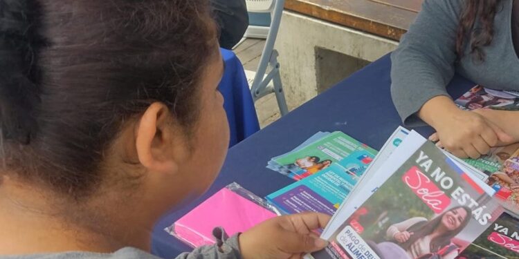 Un total de 196 candidaturas fueron rechazadas por el Servel por tener deuda vigente de pensiones alimenticias