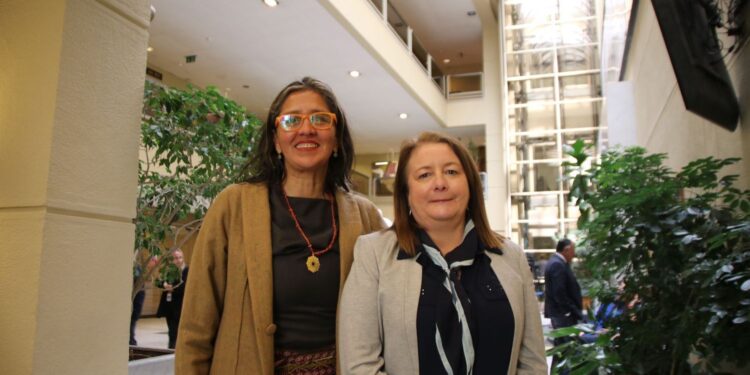 Cámara de Diputados aprobó proyecto de ley para reactivar el turismo y fomentar la industria audiovisual