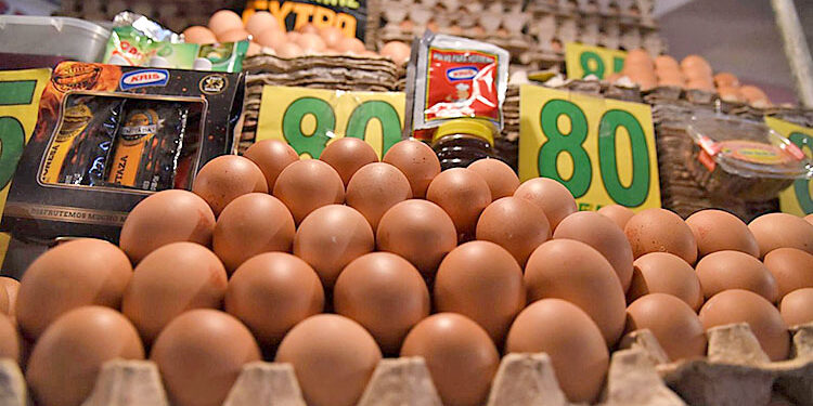 Carabineros de Tarapacá incautó 18 mil huevos de contrabando este fin de semana