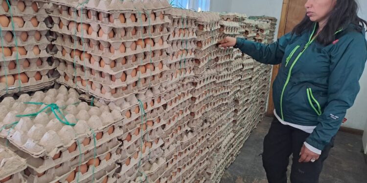 SAG implementó control de 24 horas durante festividad de San Lorenzo