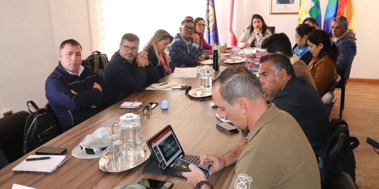 Autoridades y servicios públicos se coordinan para una celebración segura de Fiestas Patrias en el Tamarugal