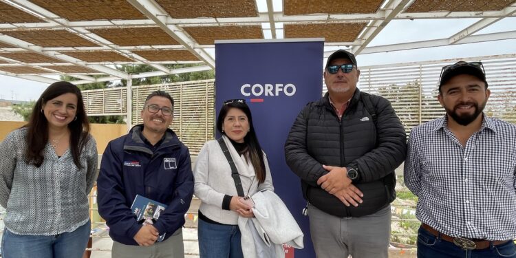 Arica y Parinacota: Pymes hortícolas asistirán a ferias agrícolas en la zona central