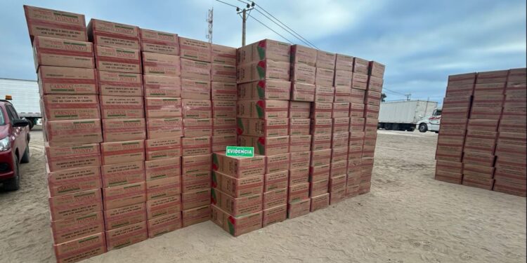 En un solo día Carabineros saca de circulación casi 2 mil millones de pesos en cigarrillos de contrabando