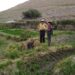 CONAF Tarapacá informa calendario de quemas y capacita a actores clave en prevención de incendios