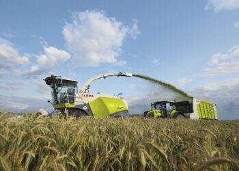 ¿Por qué las maquinarias de pastería están siendo clave en la agricultura moderna?