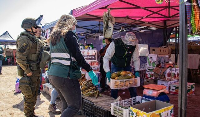 SAG decomisó 392 kilos de productos agrícolas en fiscalización en Alto Hospicio
