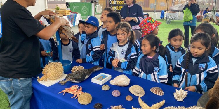Con concurrida Feria de Educativa se celebró el Día del Forjador ambiental en Tarapacá