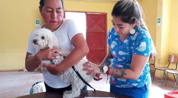 Huara contará con nueva Clínica Veterinaria Móvil