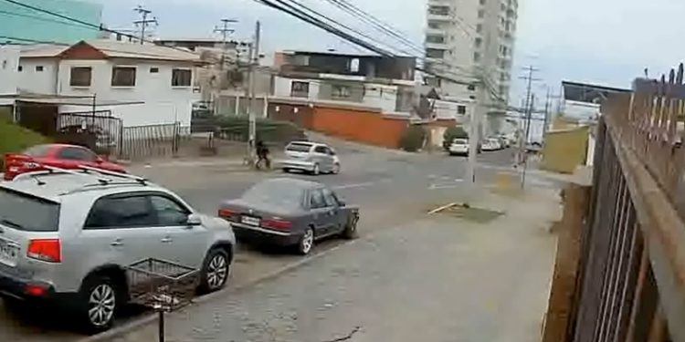 En prisión preventiva queda sujeto que asaltó a niño que paseaba su perro en sector sur de Iquique